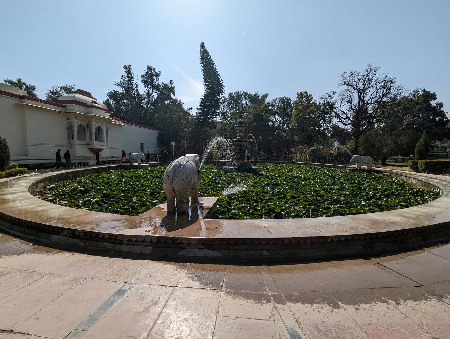 Saheliyon ki bari fontaine lotus Saheliyon ki bari fontaine lotus
