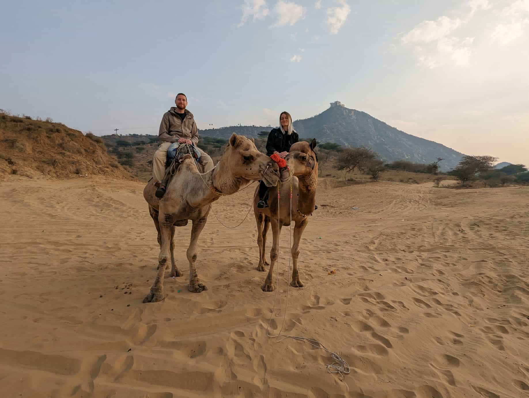 Balade à dos de dromadaire dans le désert de Pushkar Balade à dos de dromadaire dans le désert de Pushkar