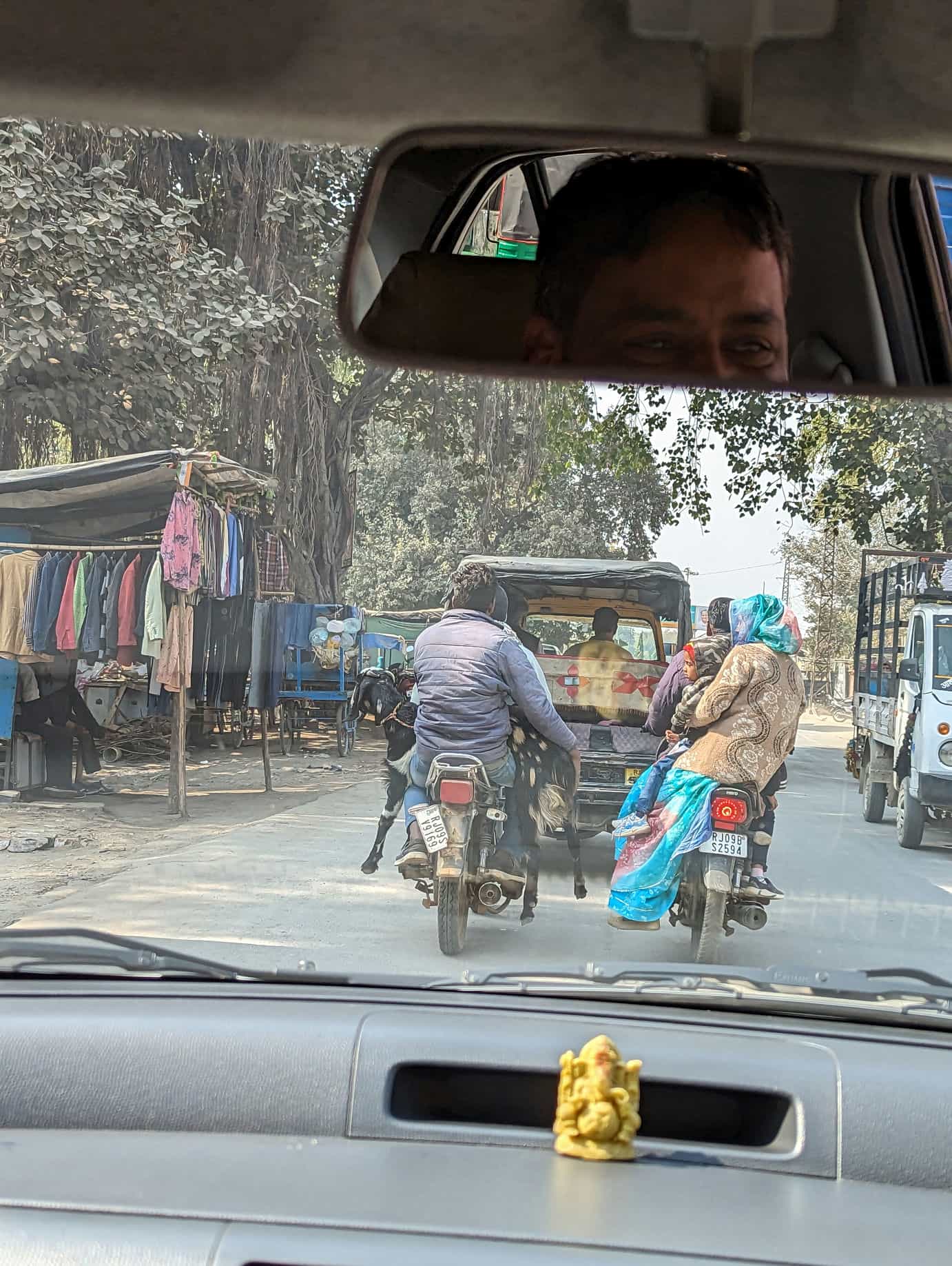 Chèvre sur scooter Inde Chèvre sur scooter Inde
