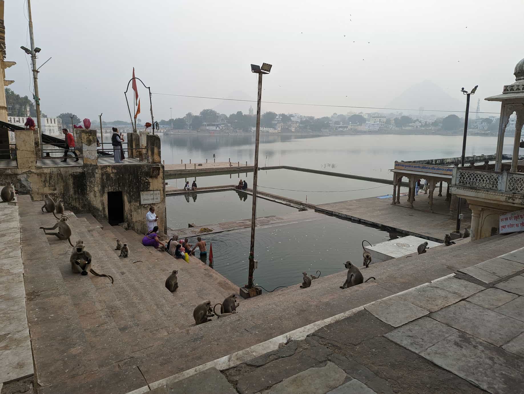 Le lac de Pushkar et les singes Le lac de Pushkar et les singes