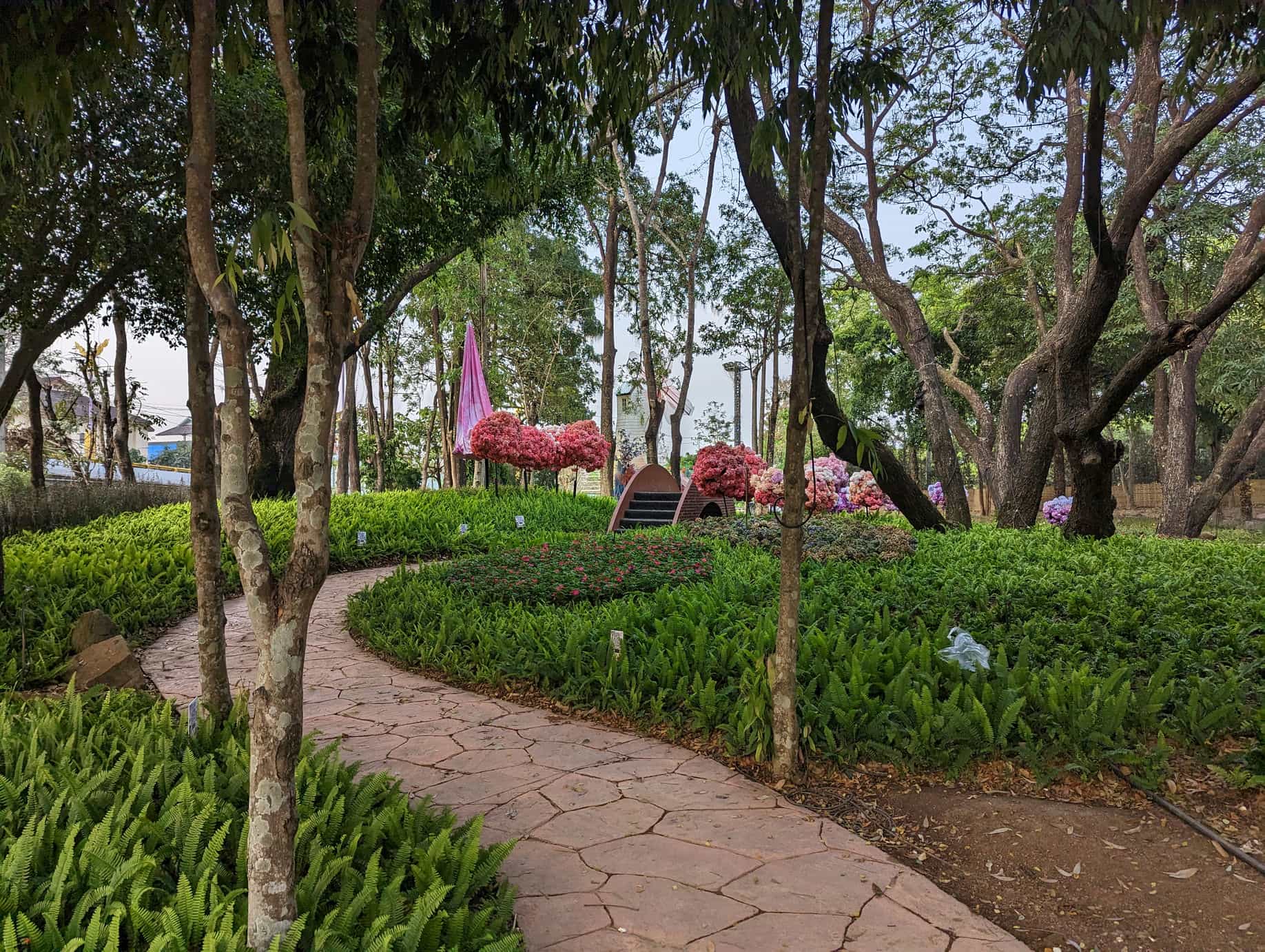 Garden of Reeds chiang rai Garden of Reeds chiang rai